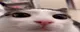 Plink