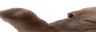 wideVIBE
