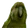 RareParrot