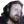 forsenJAM