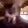 catExcite