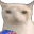 veryCat