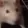ratJAM