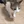 Catfall