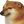 Doge