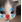 ClownCat