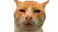 HUH