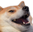 KEKdoge