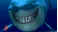 HelloShark