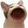 Bwop
