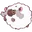 woolooRoll