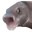 OOOO