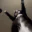 Jigglin