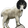 zzGOAT