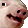 PigChamp