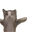 CatJump