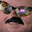 forsenCD