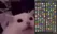 niceInventory