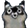 raccoonEep