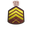 Sergeant