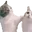 CatAHomie