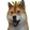 DogeDance