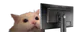 FLASHBANG