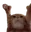 Catting
