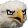 eagleWhat