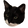 nemoCat