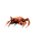 CrabPls
