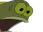 YOUWHAT