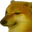 BONK