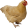 ItsAChicken