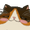 scampKimochi