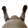 catD