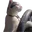 CatDriving