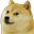 Doge0750