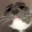 AREYOUAGIRL