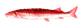 EvilJoel