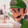 Plungeluigi