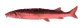 JoelRave