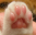 TOEBEANS