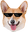 CorgiMlg