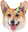 CorgiP