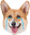 CorgiThump