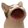 popCat