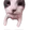 catKISS