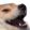 DogeKEK