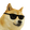 KoolDoge